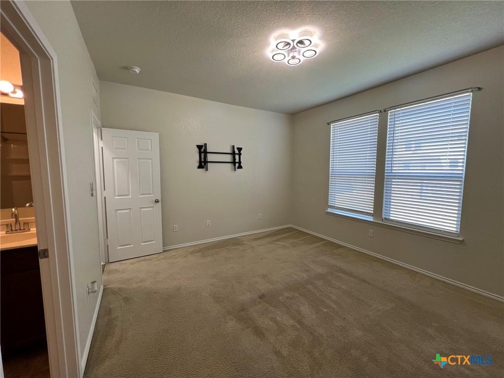 338 Mistflower Property Photo 18