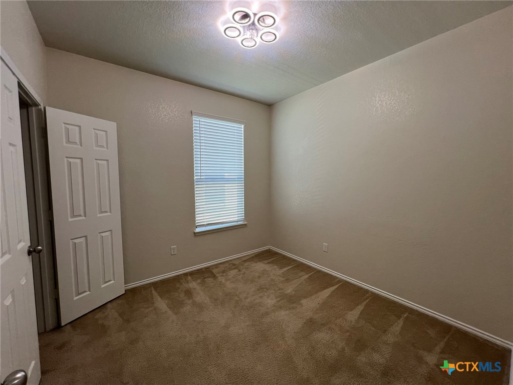 338 Mistflower Property Photo 22