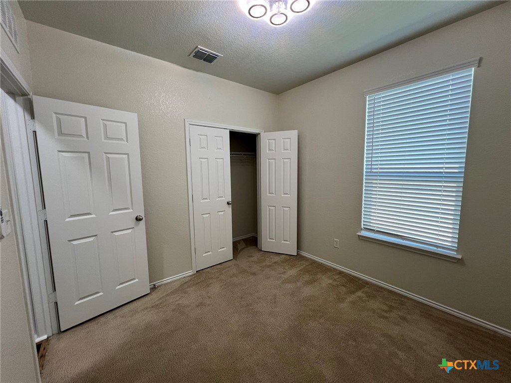 338 Mistflower Property Photo 23