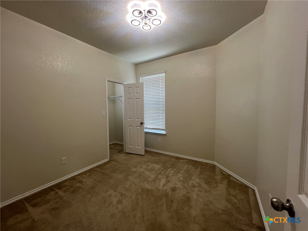 338 Mistflower Property Photo 24