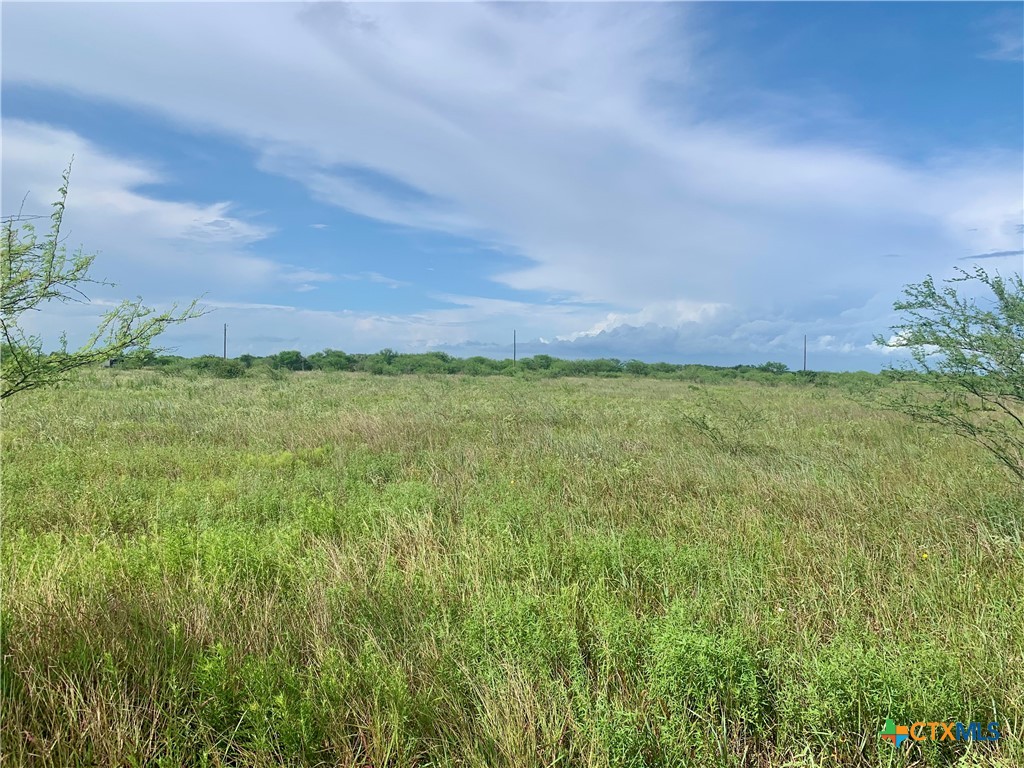 483 Shin Oak Road Property Photo 4