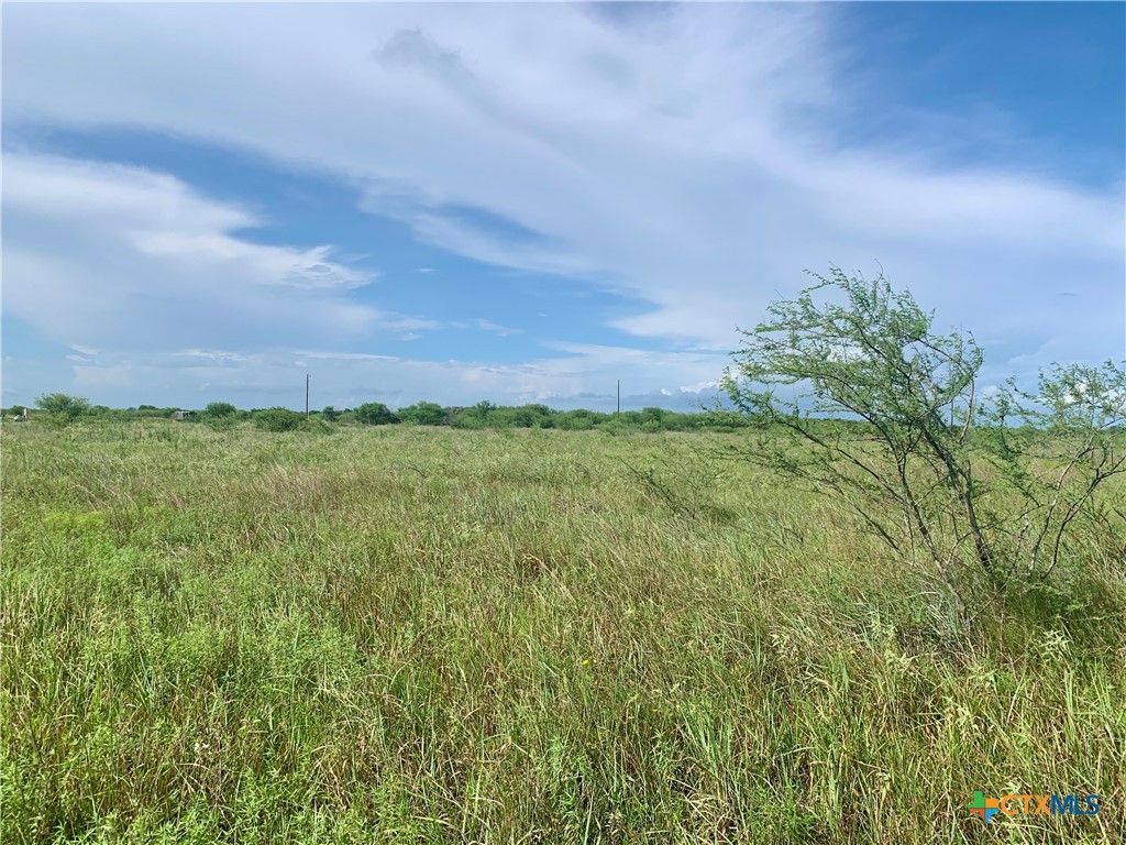 483 Shin Oak Road Property Photo 5