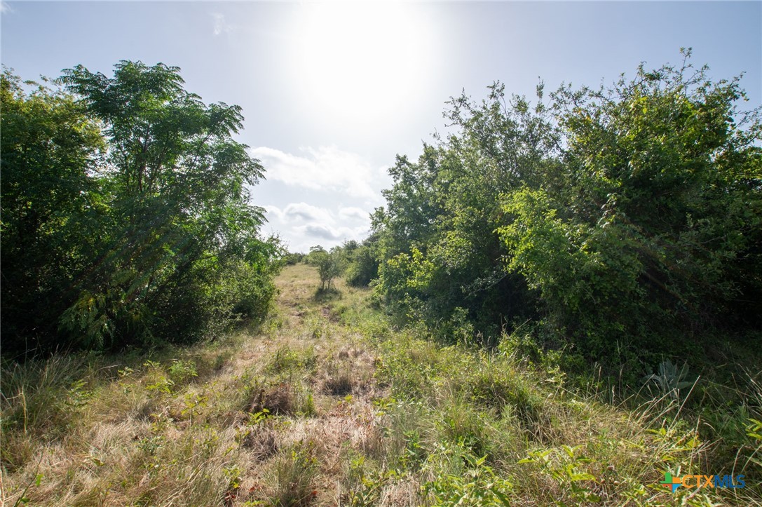 102 Fm-1047 Property Photo 28