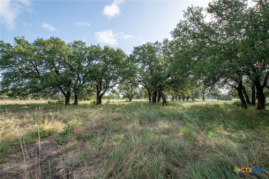 103 Fm-1047 Property Photo 7