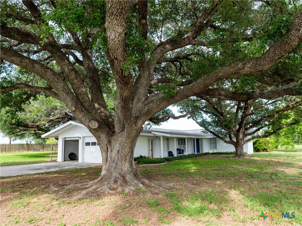 175 Fm 136 Property Photo 6