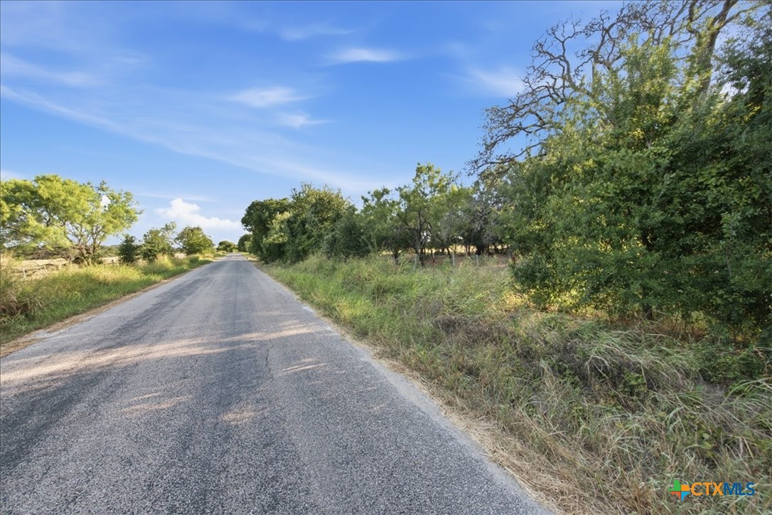 5610 County Road 174 - Tract 6 Property Photo 4