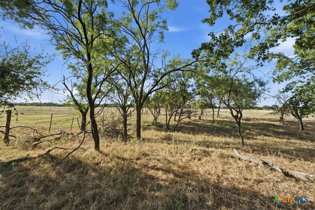 5610 County Road 174 - Tract 6 Property Photo 6