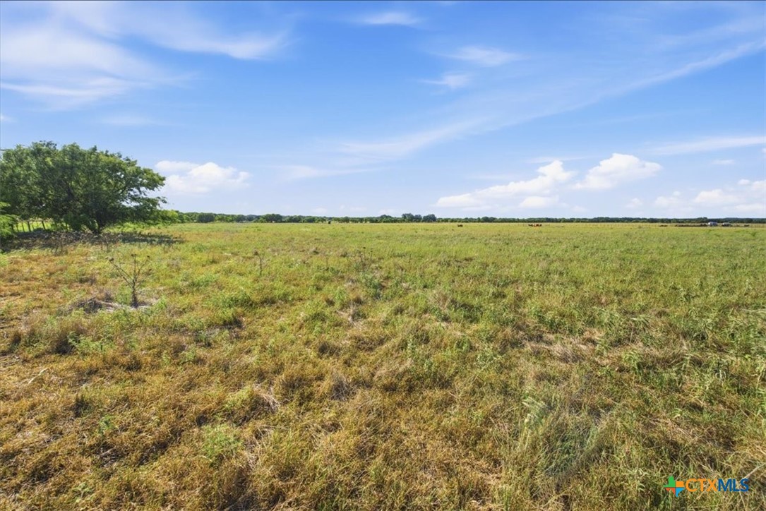 5610 County Road 174 - Tract 5 Property Photo 6
