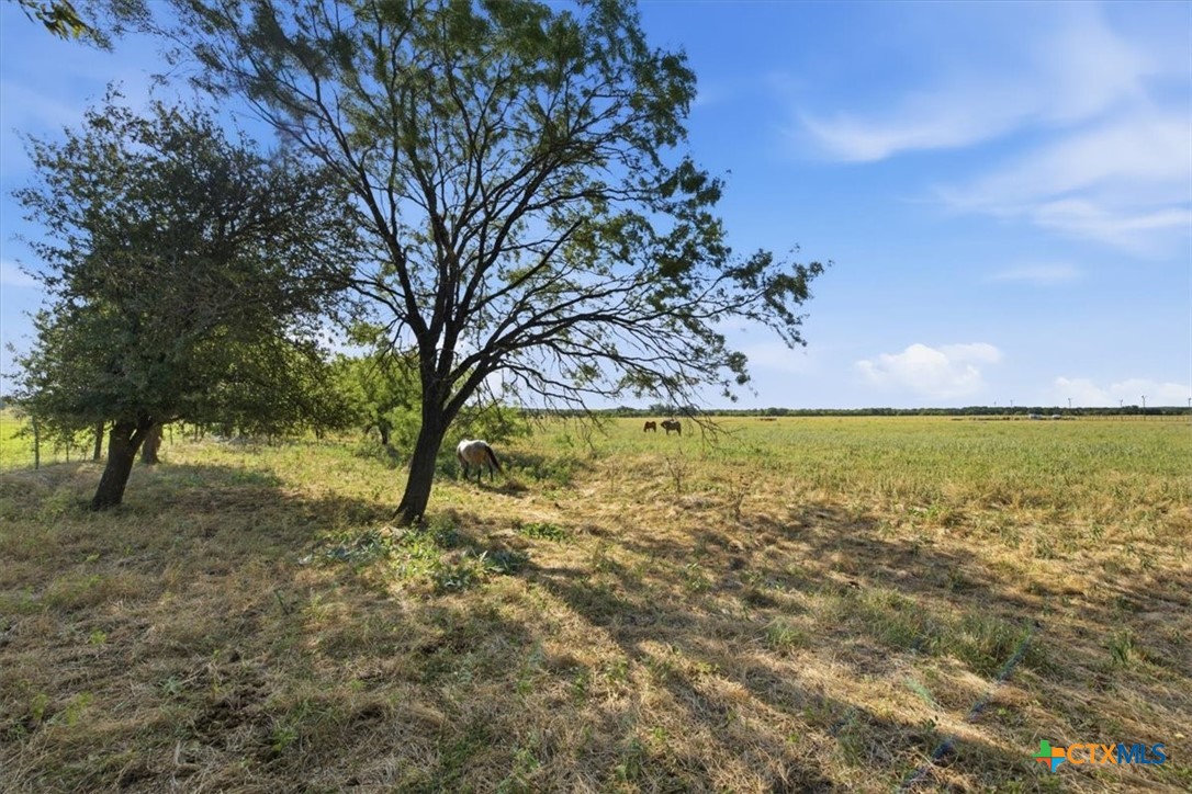 5610 County Road 174 - Tract 5 Property Photo 7