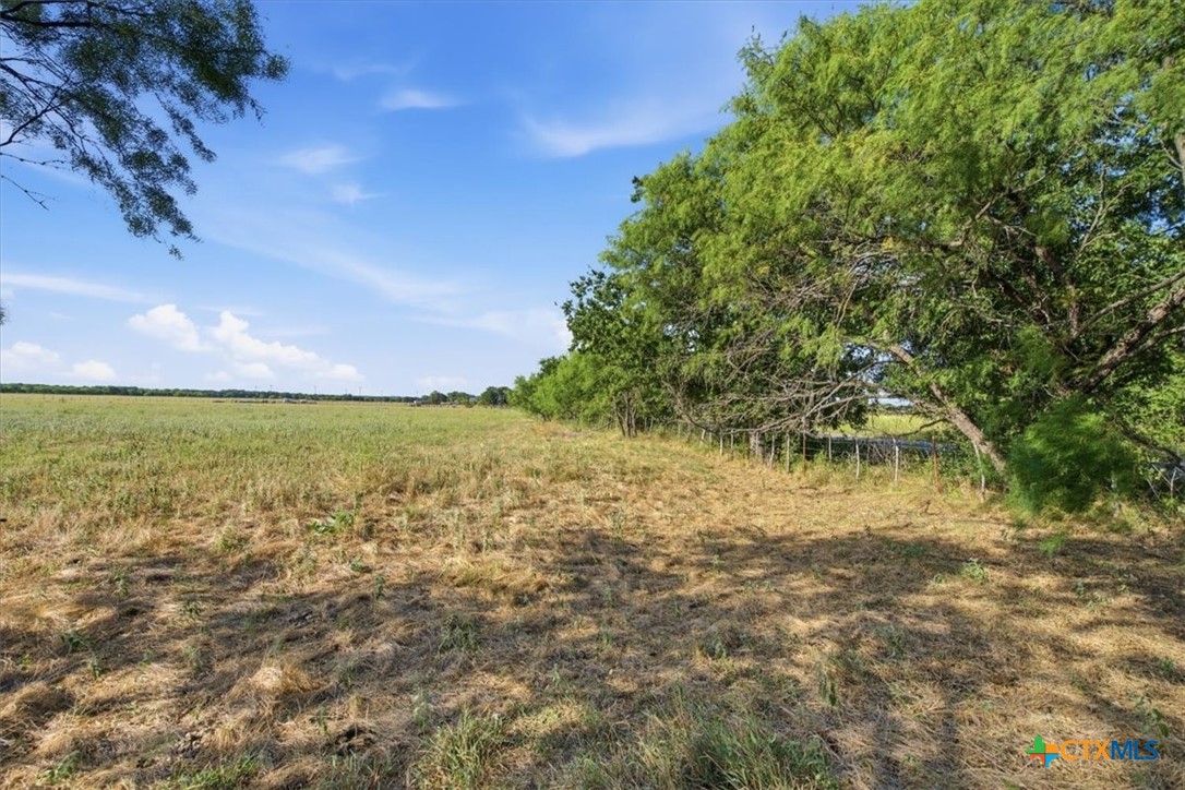 5610 County Road 174 - Tract 1 Property Photo 8