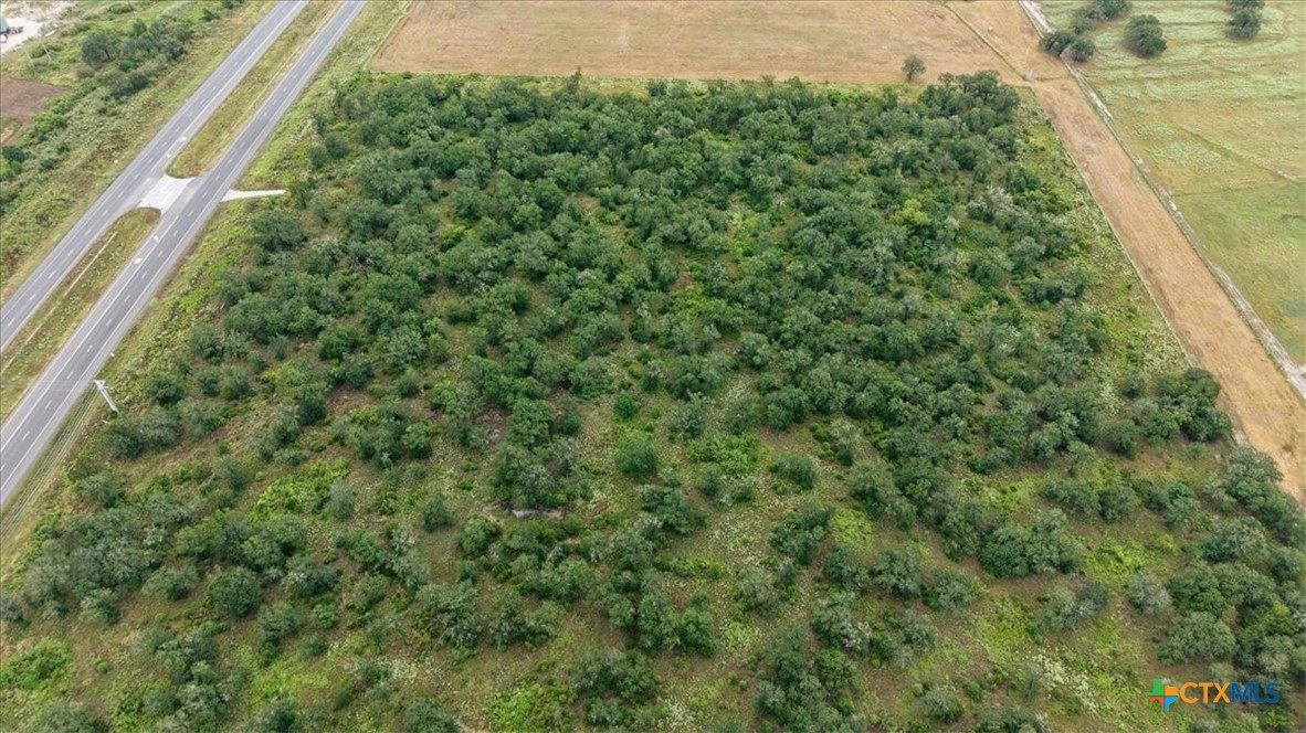 Tbd E Us 290 Highway Property Photo 10