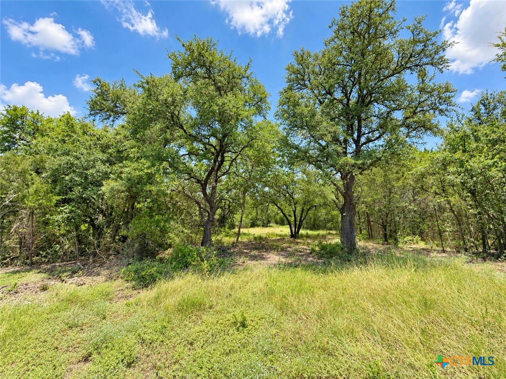 1002 Kenton Parkway Property Photo 3