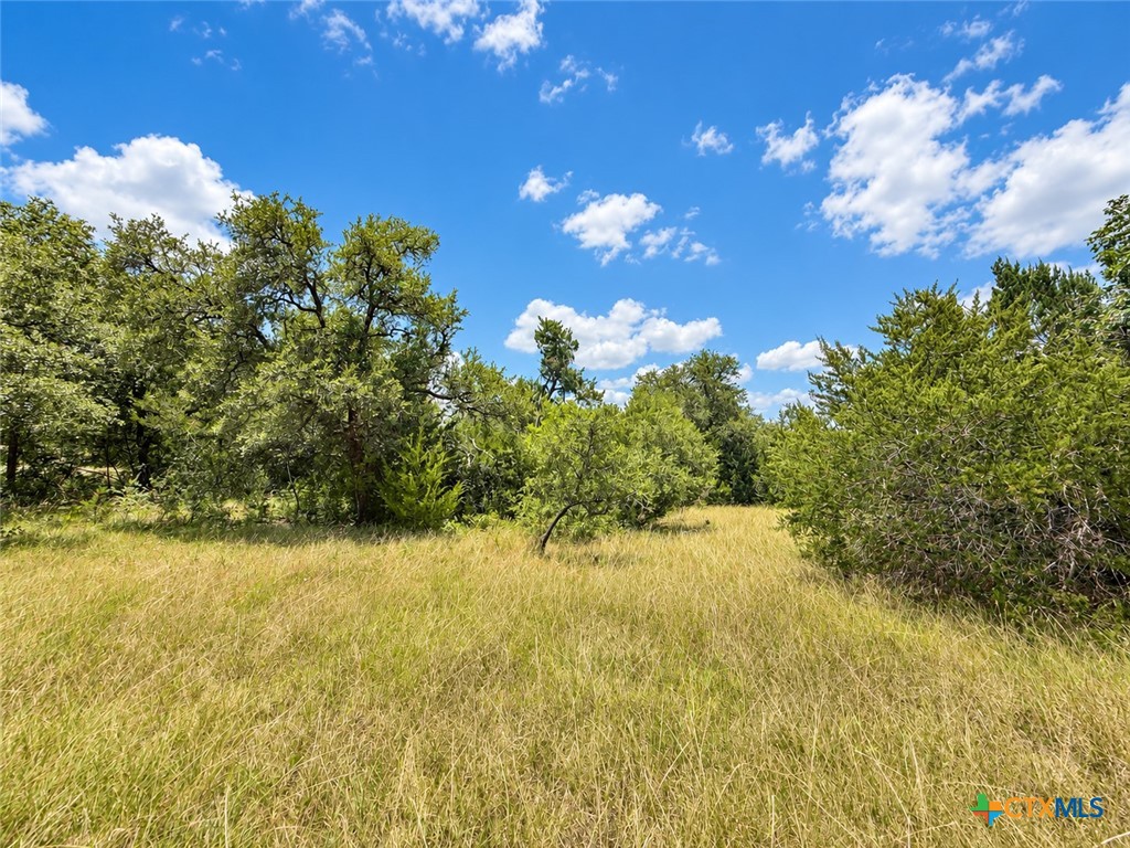 1002 Kenton Parkway Property Photo 5