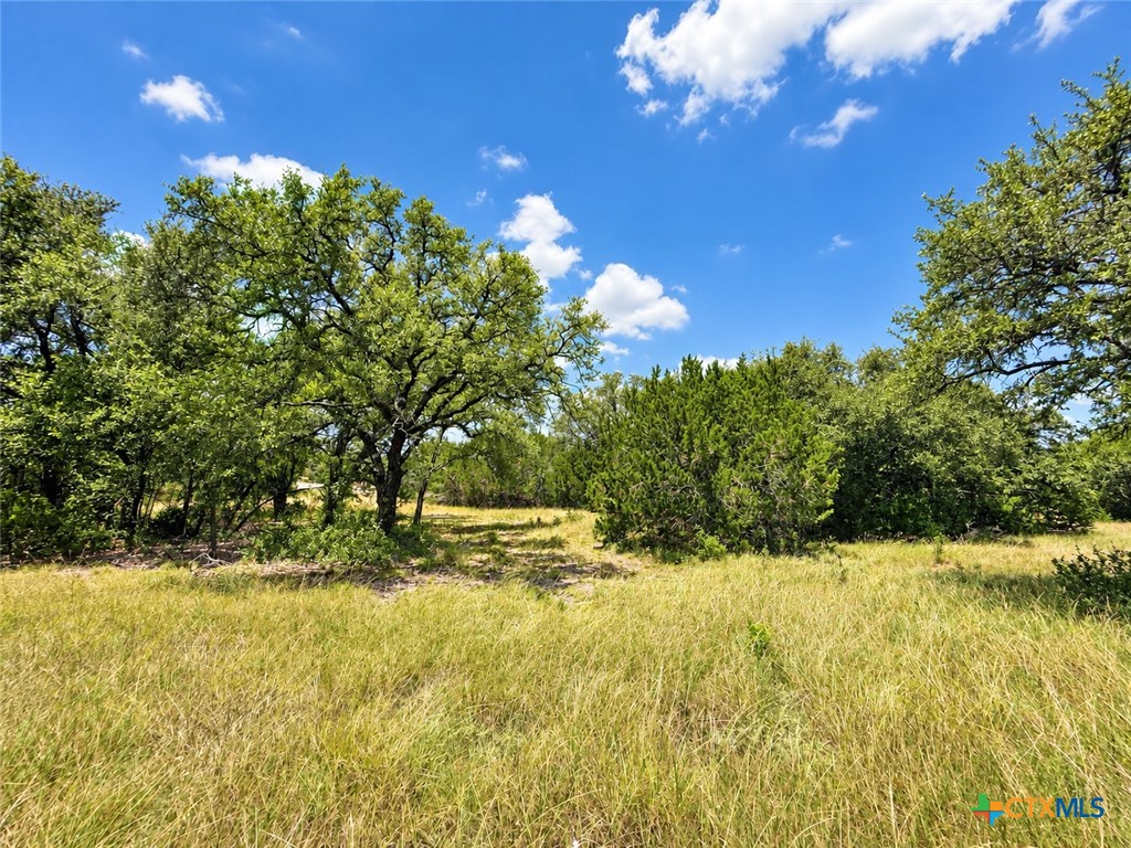 1002 Kenton Parkway Property Photo 6