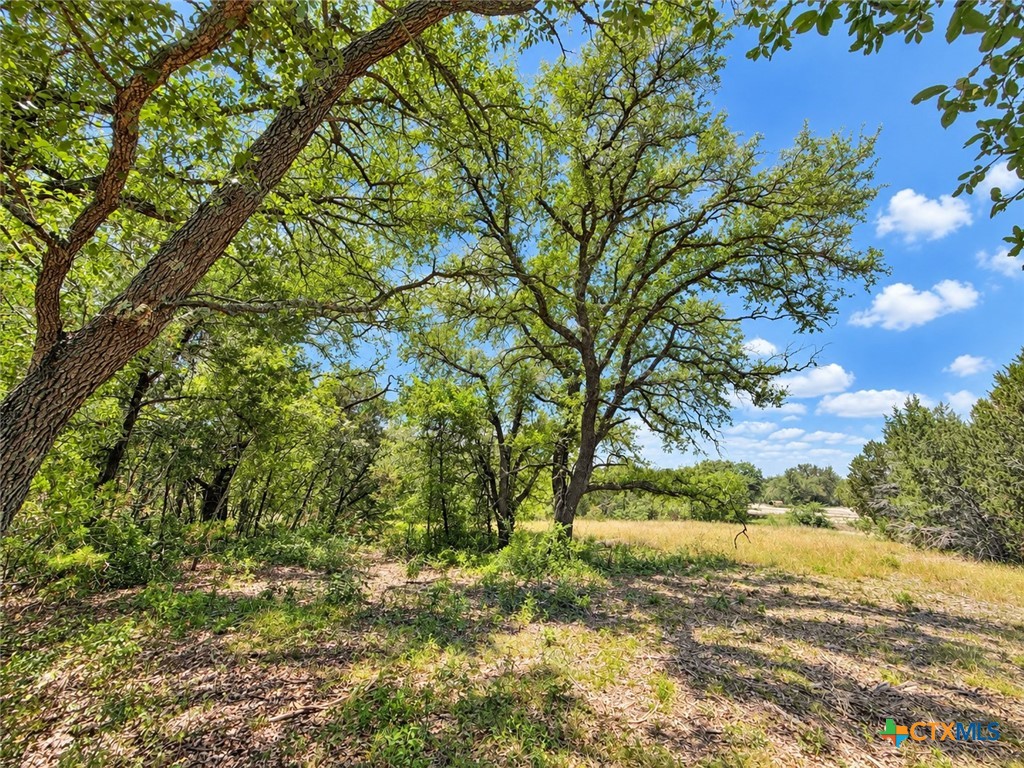 1002 Kenton Parkway Property Photo 7