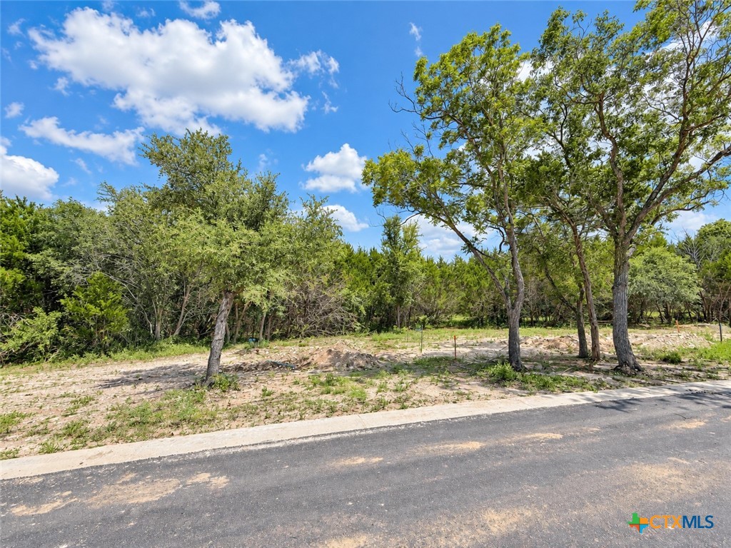 1002 Kenton Parkway Property Photo 10