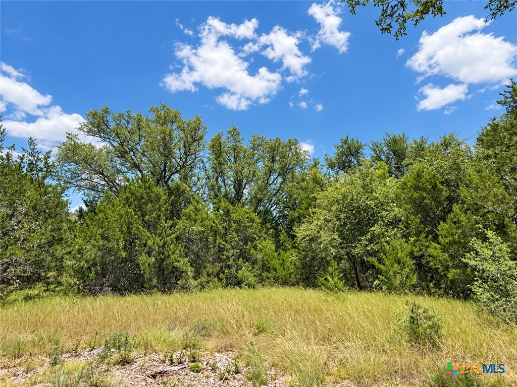 1038 Kenton Parkway Property Photo 3