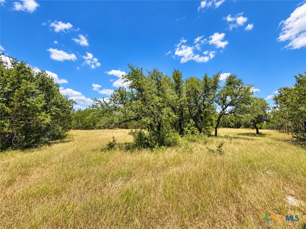 1038 Kenton Parkway Property Photo 6