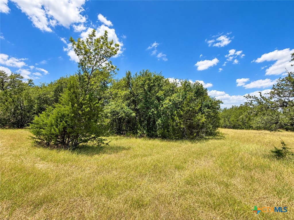 1038 Kenton Parkway Property Photo 7