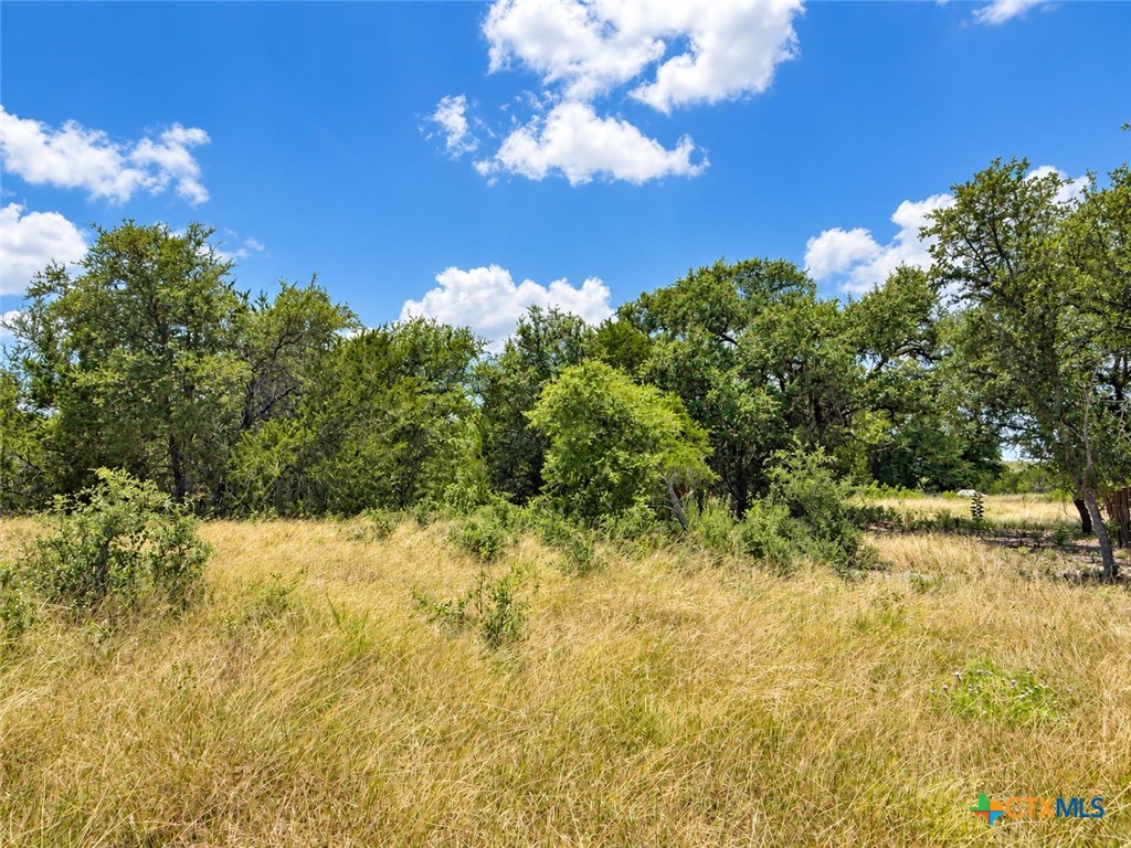 1038 Kenton Parkway Property Photo 8