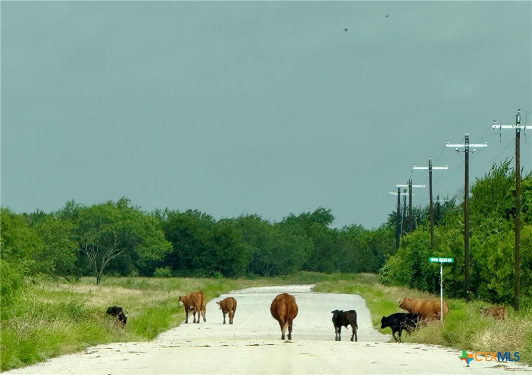 0 Pitchfork Ranch Road Property Photo 3