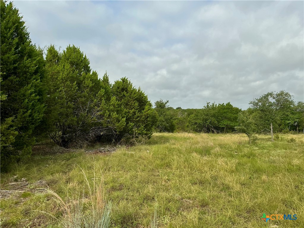 0 Pitchfork Ranch Road Property Photo 4
