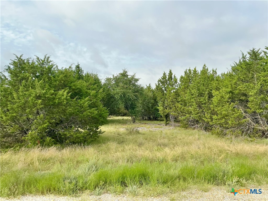 0 Pitchfork Ranch Road Property Photo 5