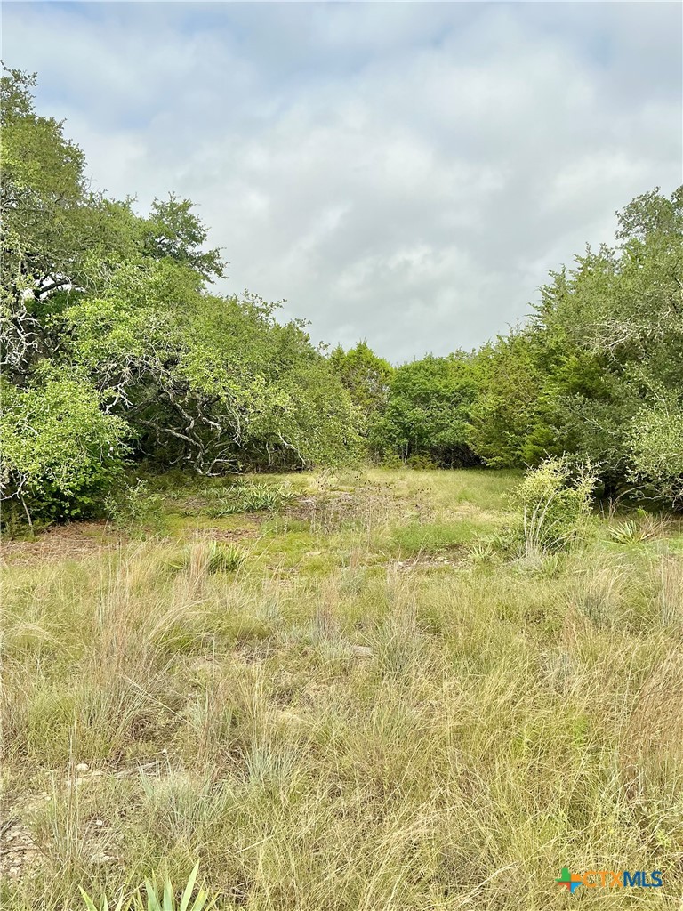 0 Pitchfork Ranch Road Property Photo 8