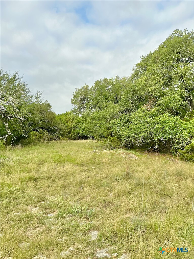 0 Pitchfork Ranch Road Property Photo 9