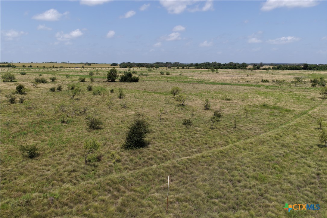 2862 Farm Market 1702 Property Photo 6