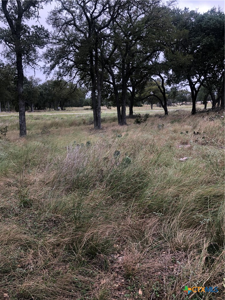 99 Axis Circle Property Photo 2