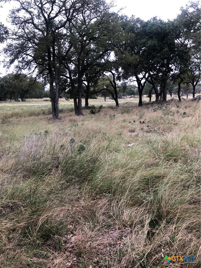 99 Axis Circle Property Photo 4