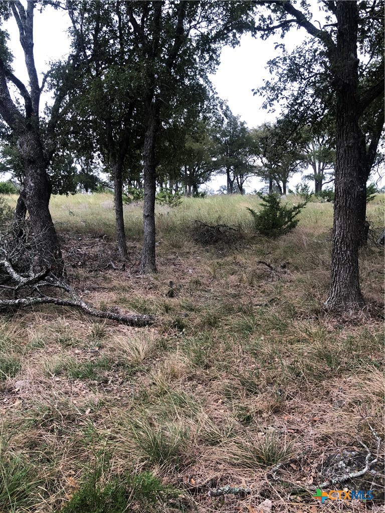 99 Axis Circle Property Photo 5