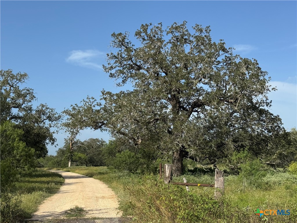 0 Batey Ranch Road Property Photo 1