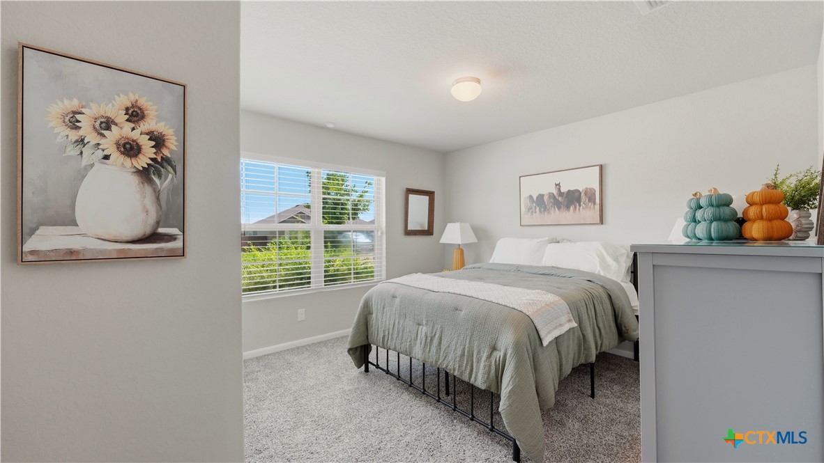 1132 Eagle Xing Property Photo 22