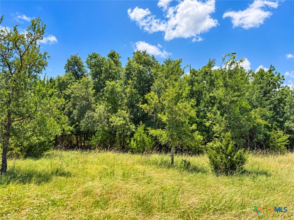1092 Kenton Parkway Property Photo 2