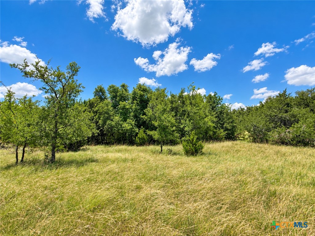 1092 Kenton Parkway Property Photo 3