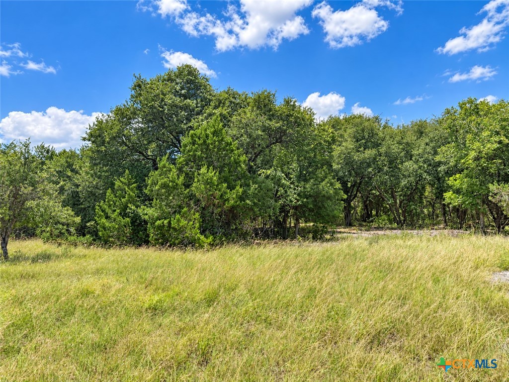 1092 Kenton Parkway Property Photo 4