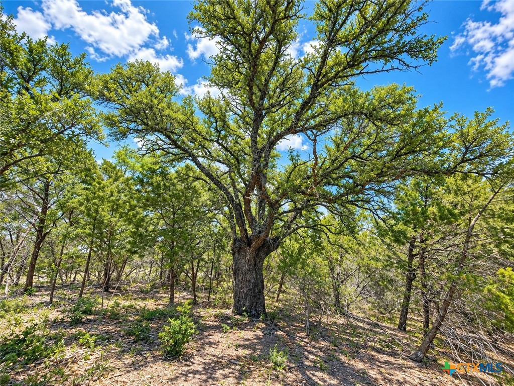 1092 Kenton Parkway Property Photo 5