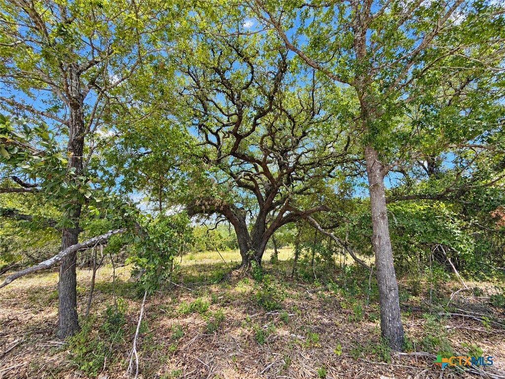 1092 Kenton Parkway Property Photo 6