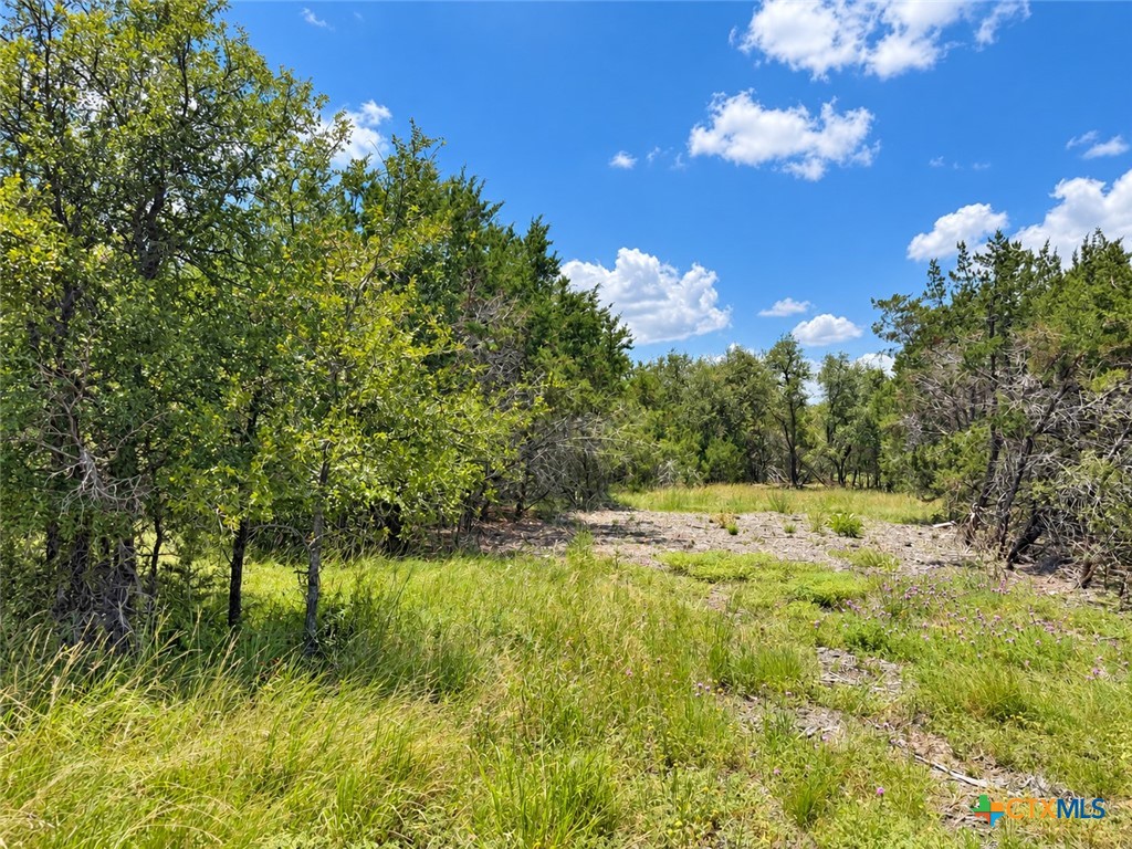 1092 Kenton Parkway Property Photo 7