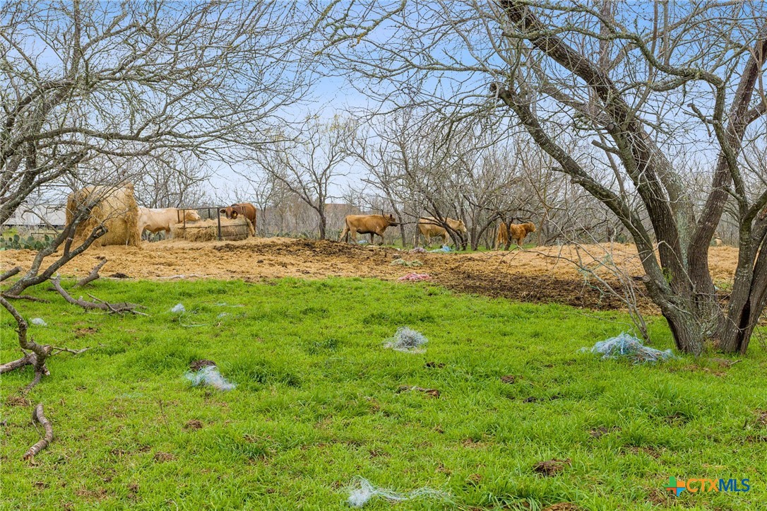 Tbd Fm 672 Property Photo 7