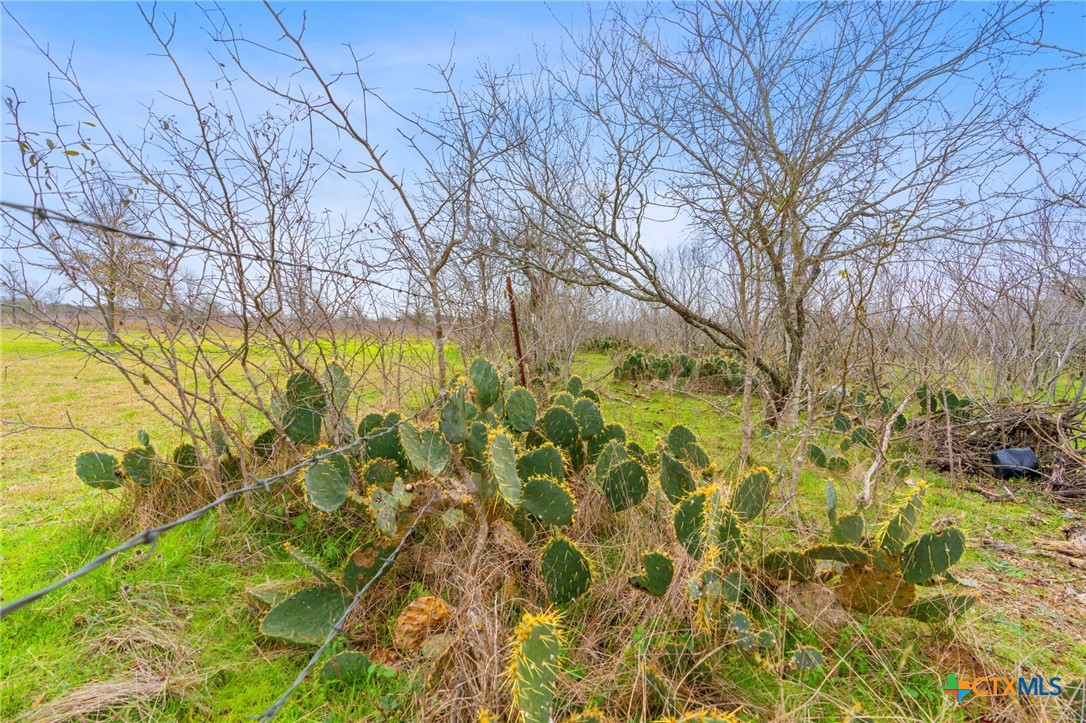 Tbd Fm 672 Property Photo 10