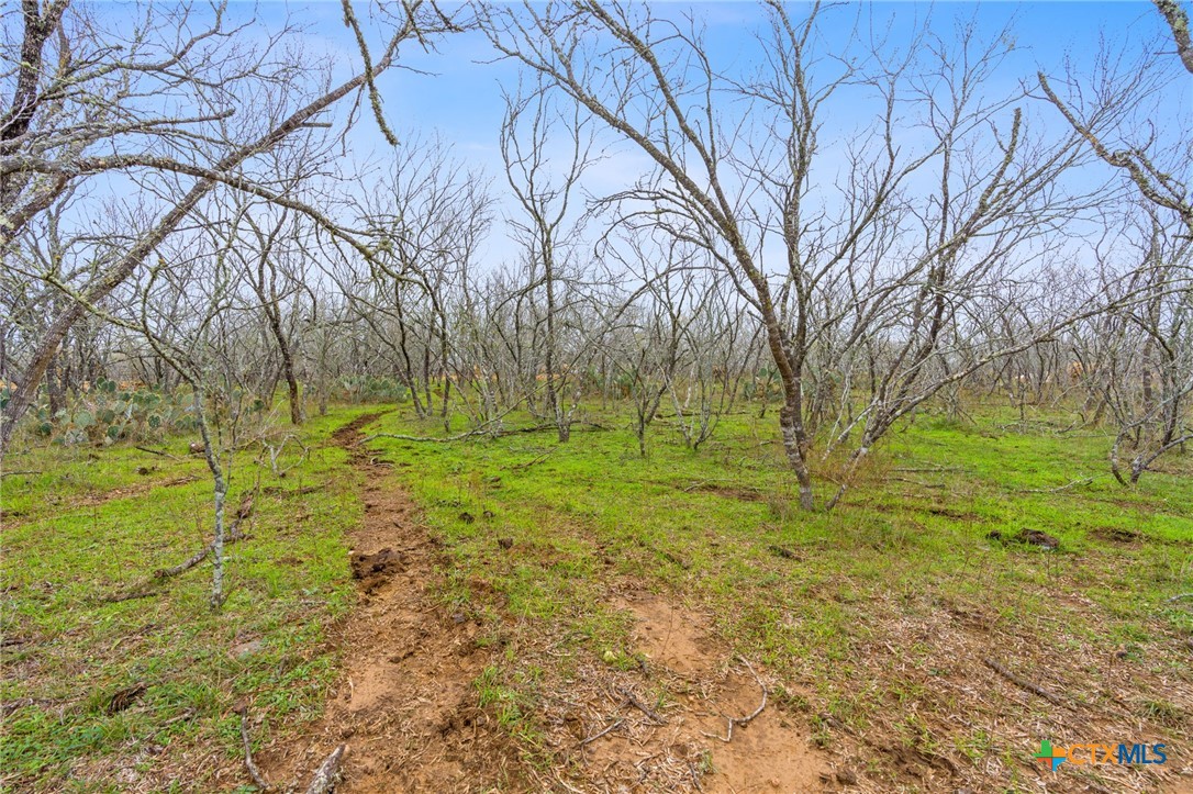 Tbd Fm 672 Property Photo 11