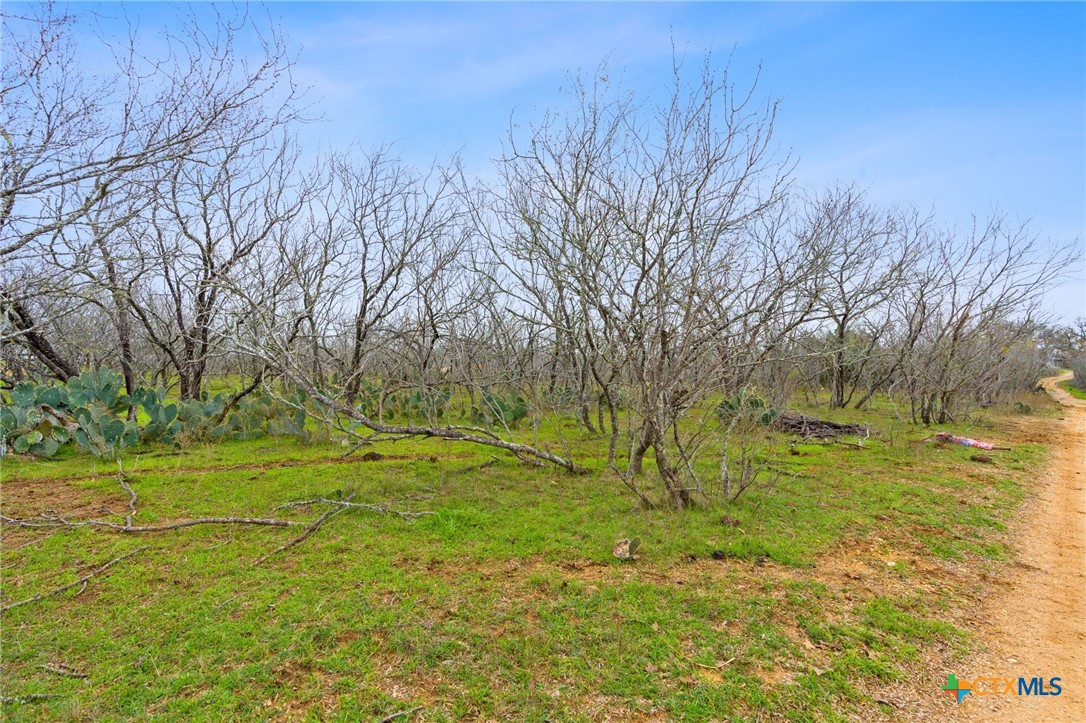 Tbd Fm 672 Property Photo 12