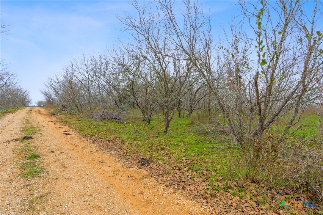 Tbd Fm 672 Property Photo 15