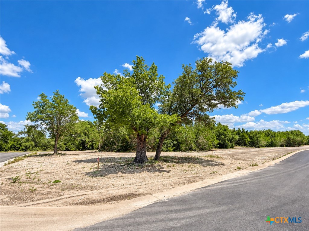 1202 Gannon Trail Property Photo 5