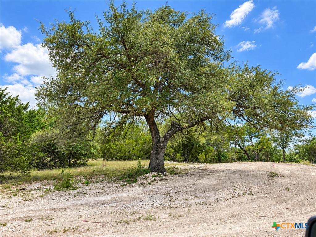 1202 Gannon Trail Property Photo 6