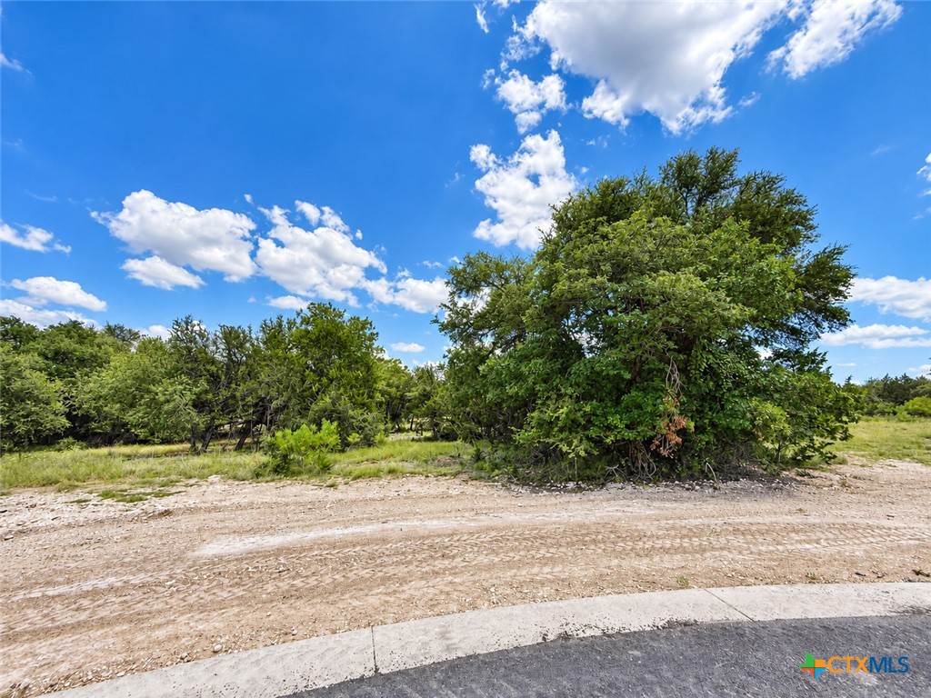 1220 Gannon Trail Property Photo 3