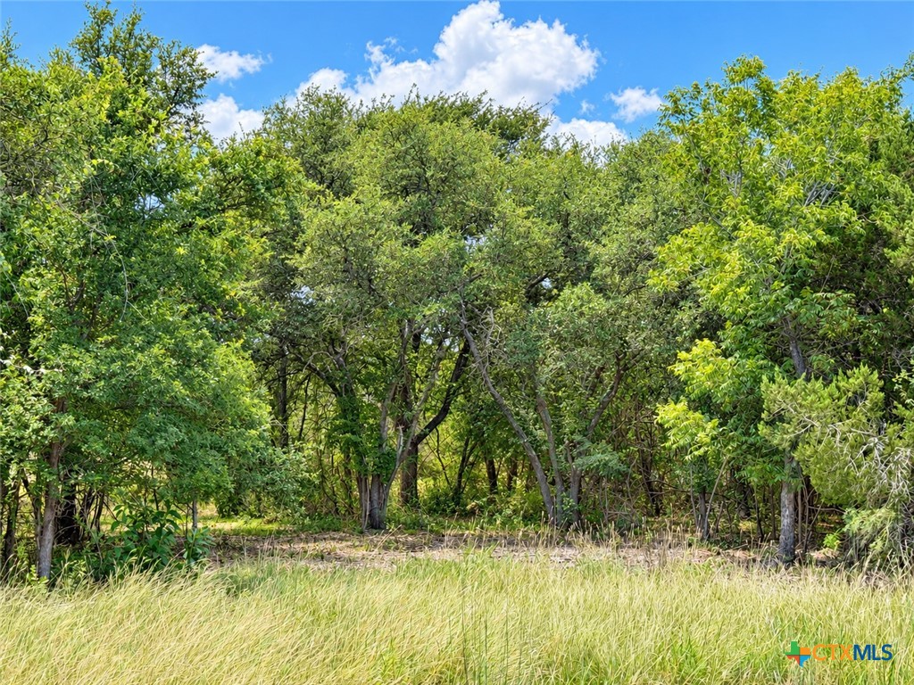 1220 Gannon Trail Property Photo 4